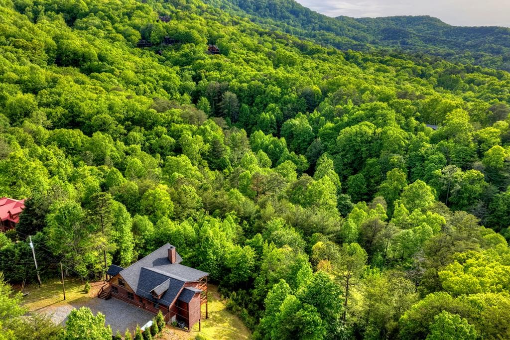 3804 Aska Road, Blue Ridge GA 30513 - Photo