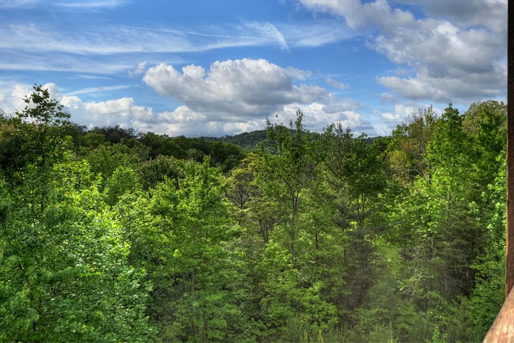 3804 Aska Road, Blue Ridge GA 30513 - Photo