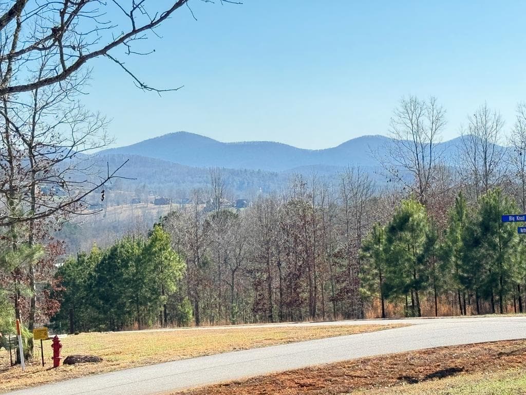 335 Northshore Drive, Blairsville GA 30512 - Photo