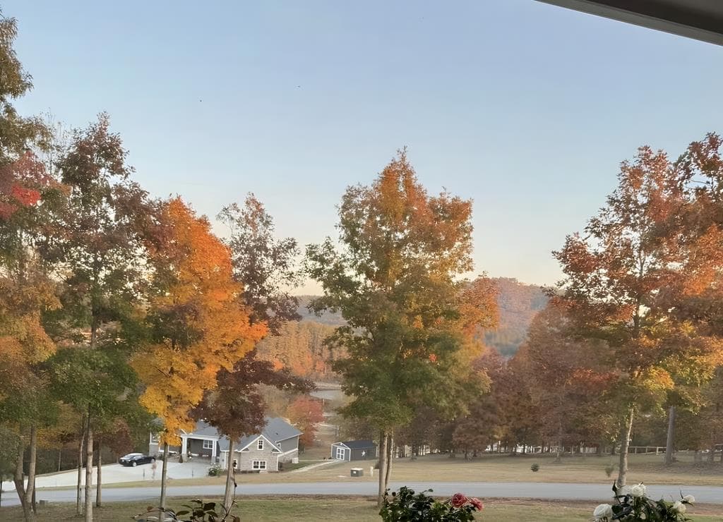 335 Northshore Drive, Blairsville GA 30512 - Photo