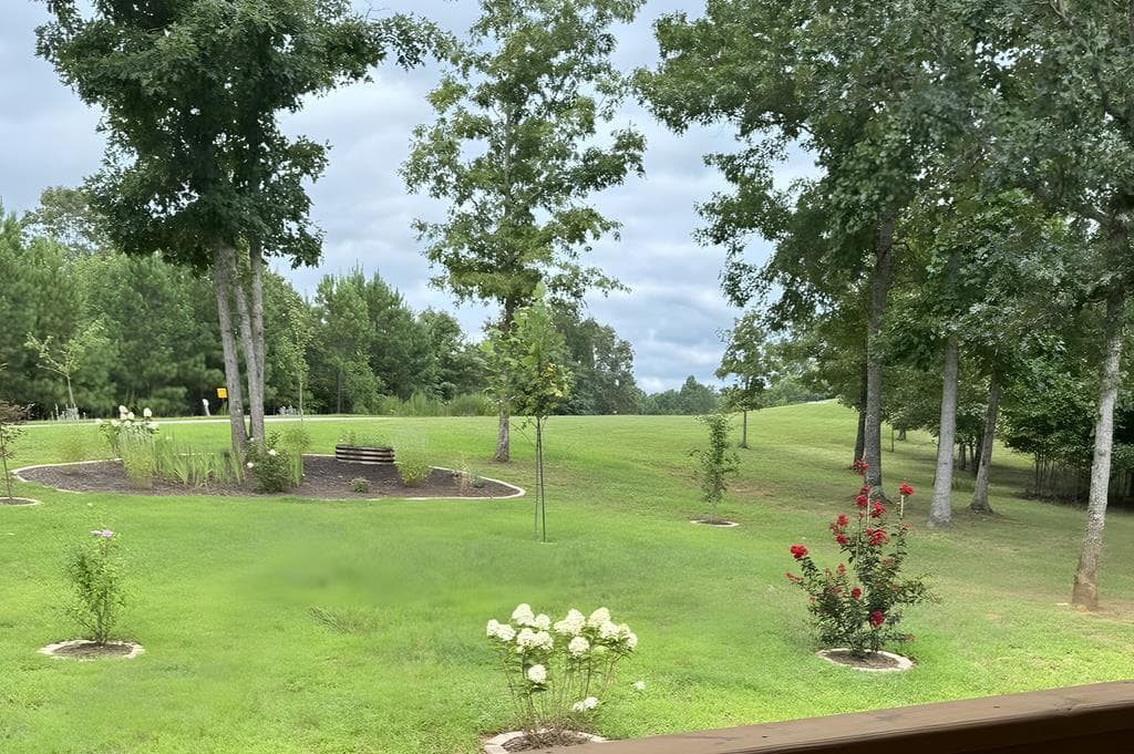 335 Northshore Drive, Blairsville GA 30512 - Photo