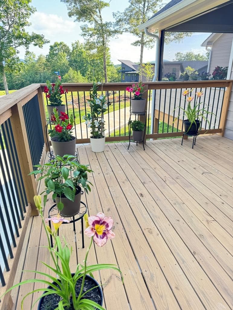 335 Northshore Drive, Blairsville GA 30512 - Photo