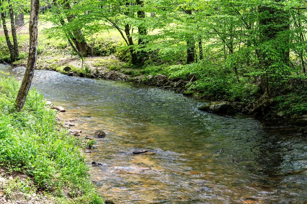Lot 3 Spring Camp Road, Ellijay GA 30536 - Photo