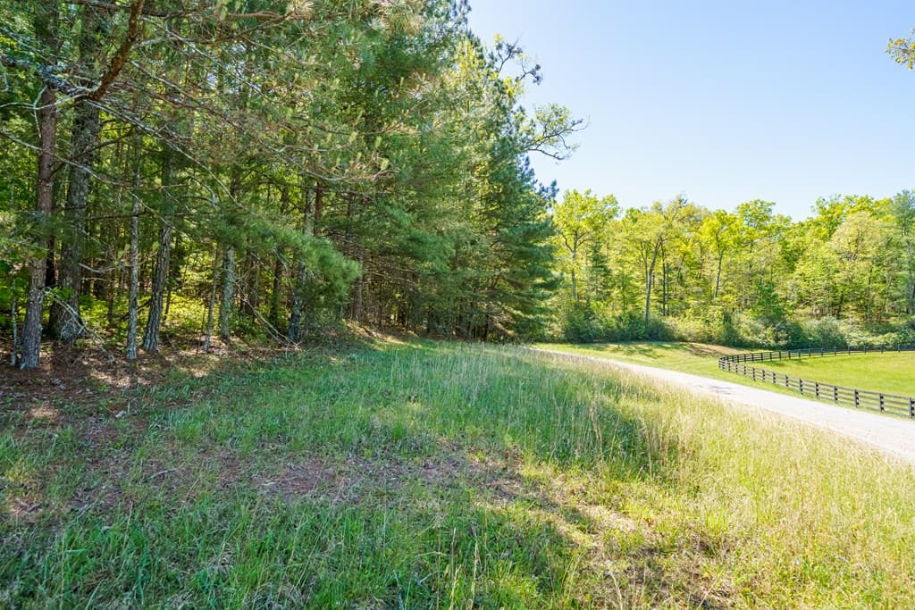 Lot 3 Spring Camp Road, Ellijay GA 30536 - Photo