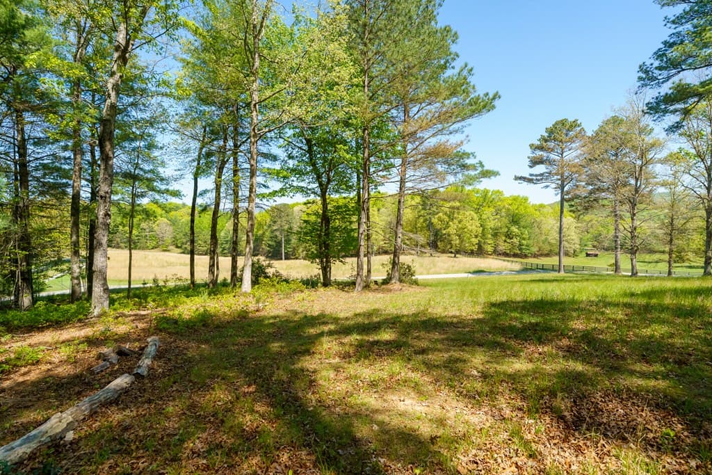 Lot 3 Spring Camp Road, Ellijay GA 30536 - Photo