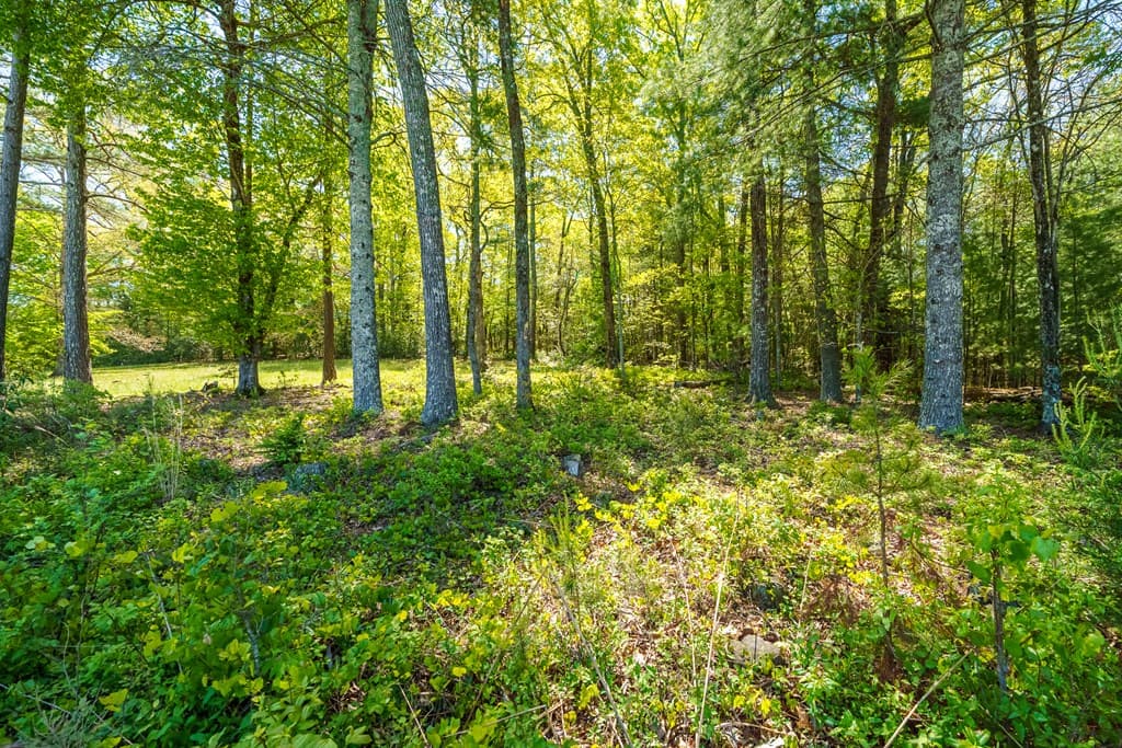 Lot 3 Spring Camp Road, Ellijay GA 30536 - Photo