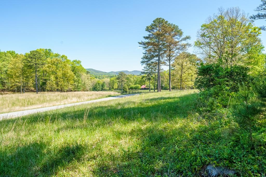 Lot 3 Spring Camp Road, Ellijay GA 30536 - Photo