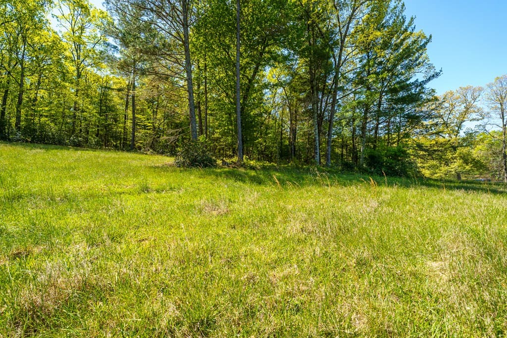 Lot 3 Spring Camp Road, Ellijay GA 30536 - Photo