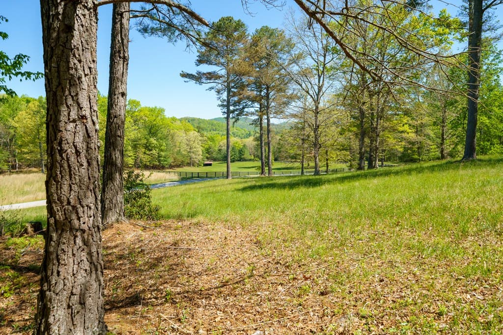 Lot 3 Spring Camp Road, Ellijay GA 30536 - Photo