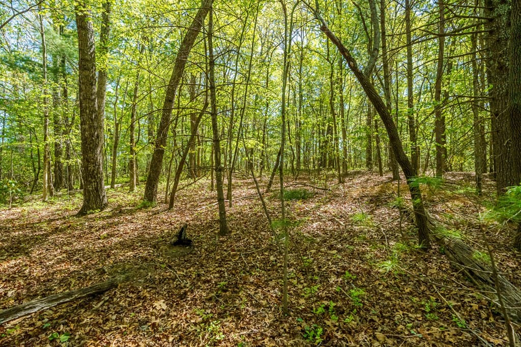 Lot 3 Spring Camp Road, Ellijay GA 30536 - Photo