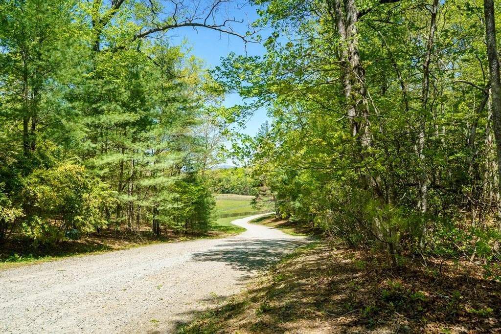 Lot 35 Spring Camp Road, Ellijay GA 30536 - Photo