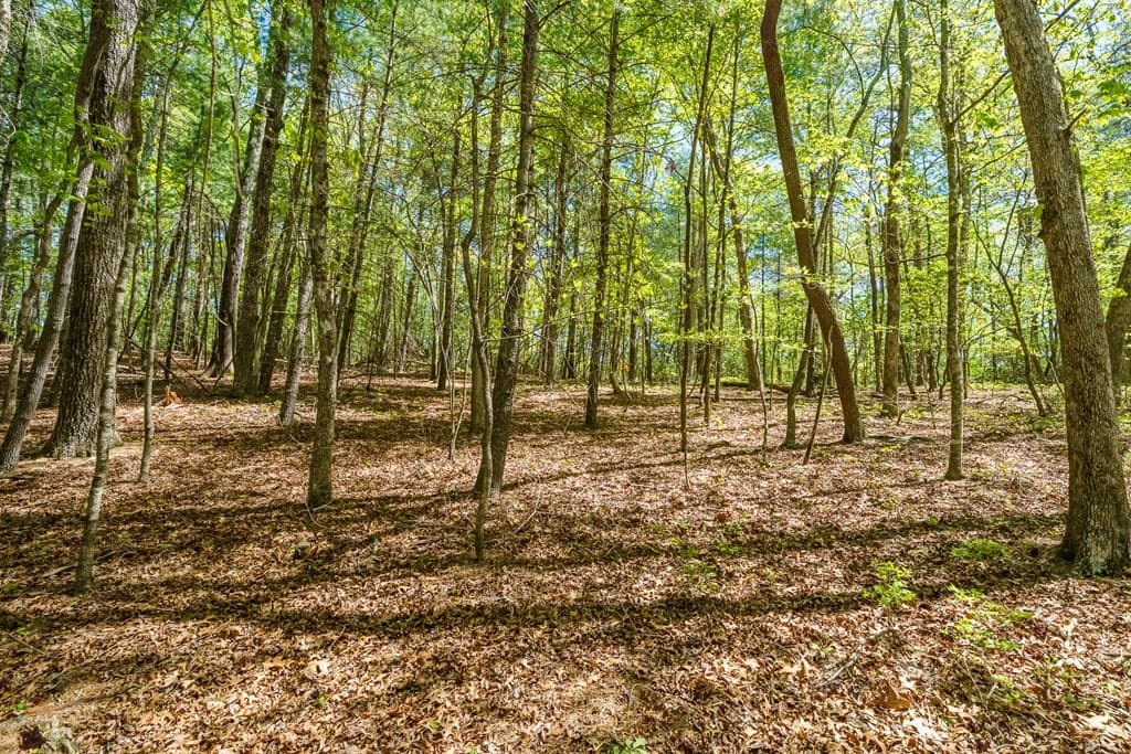 Lot 35 Spring Camp Road, Ellijay GA 30536 - Photo