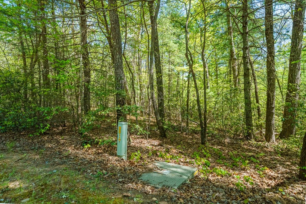 Lot 35 Spring Camp Road, Ellijay GA 30536 - Photo
