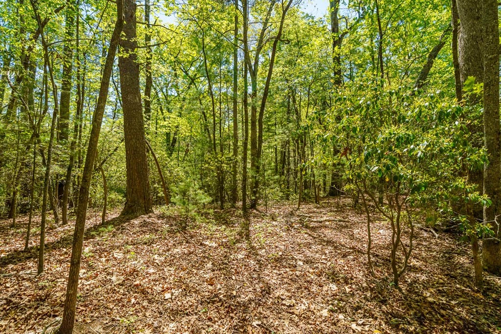 Lot 35 Spring Camp Road, Ellijay GA 30536 - Photo
