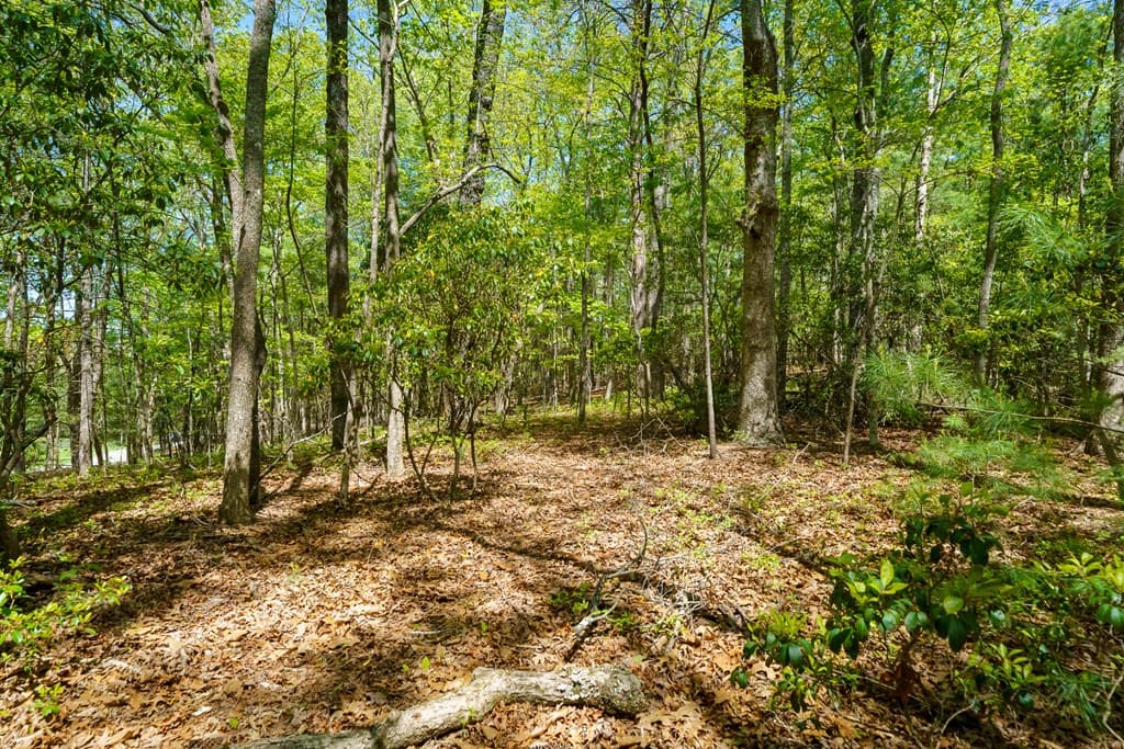 Lot 35 Spring Camp Road, Ellijay GA 30536 - Photo