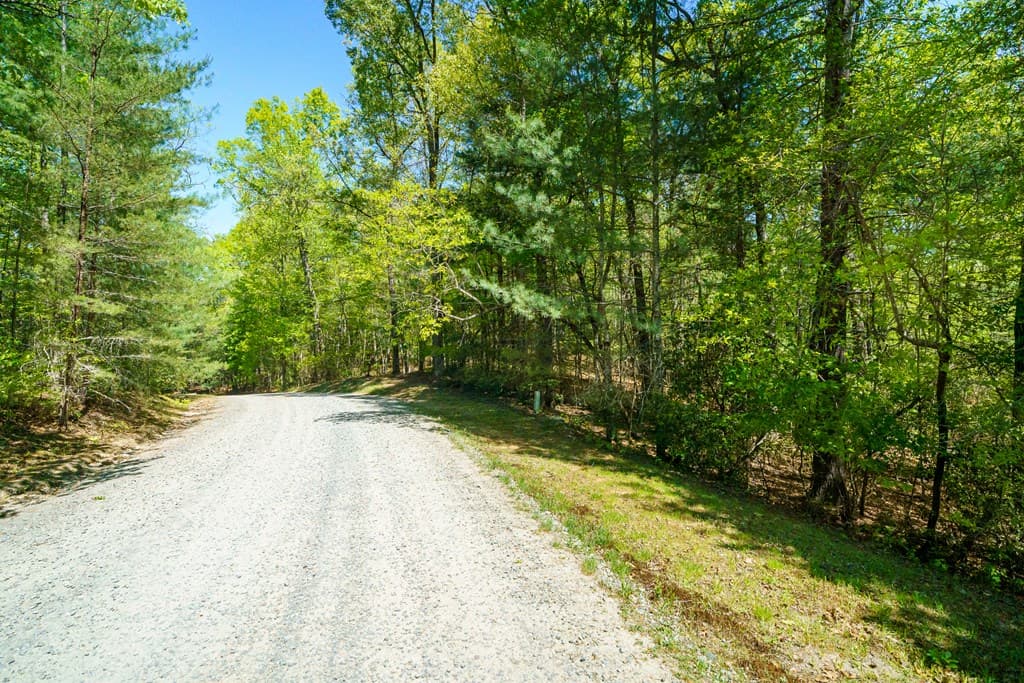 Lot 35 Spring Camp Road, Ellijay GA 30536 - Photo