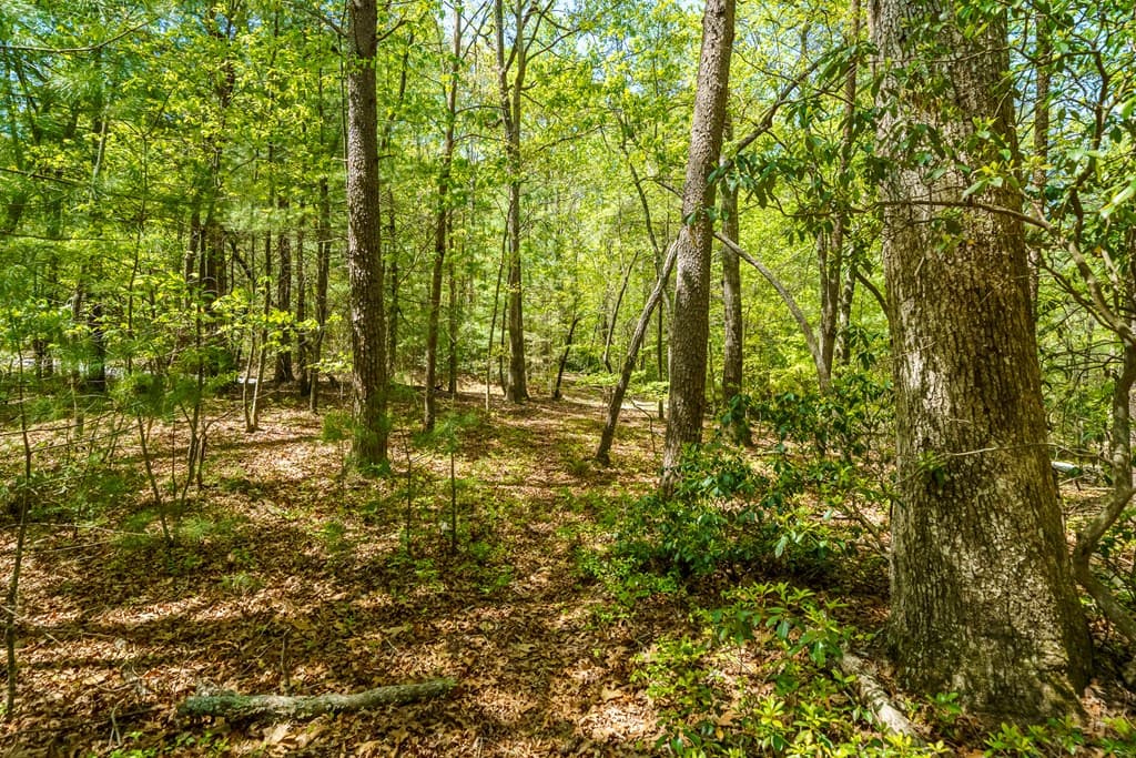 Lot 35 Spring Camp Road, Ellijay GA 30536 - Photo