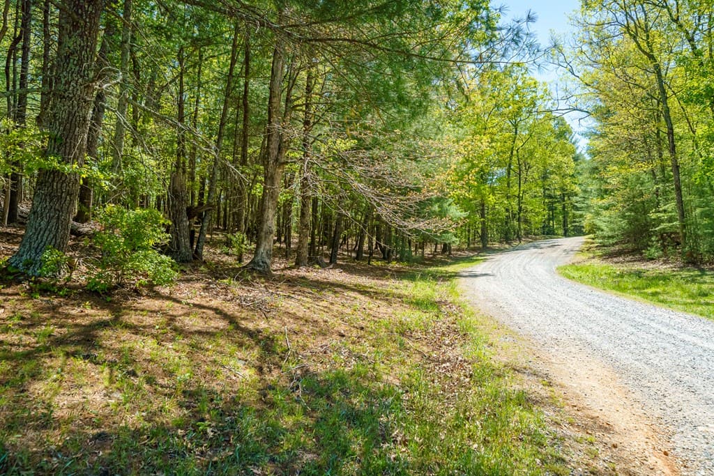 Lot 35 Spring Camp Road, Ellijay GA 30536 - Photo