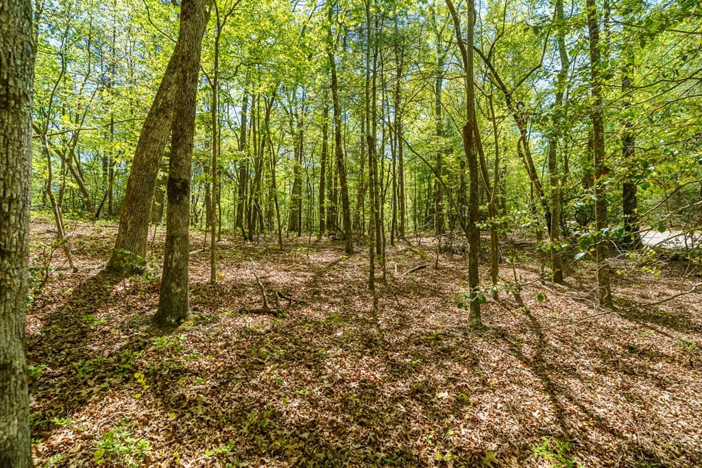 Lot 35 Spring Camp Road, Ellijay GA 30536 - Photo