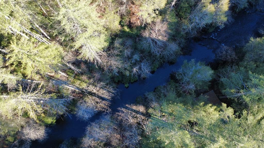 38 Sweetwater Trail, Epworth GA 30541 - Photo
