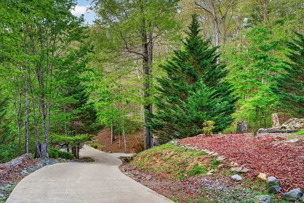 19 The Forest Road, Blue Ridge GA 30513 - Photo