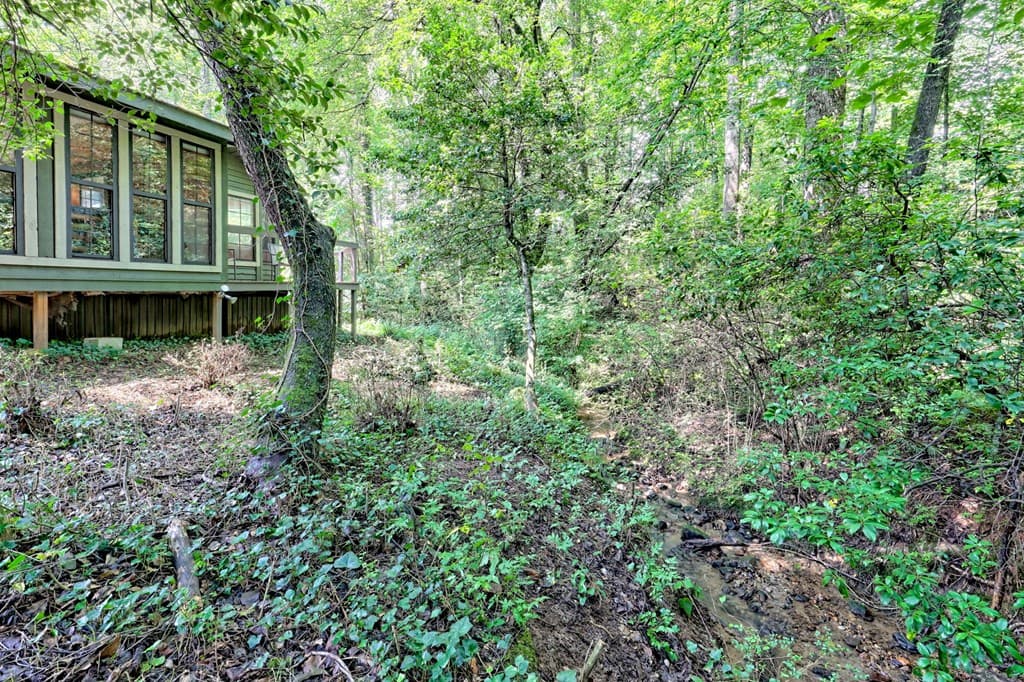 641 Cold Branch Road, Hayesville NC 28904 - Photo