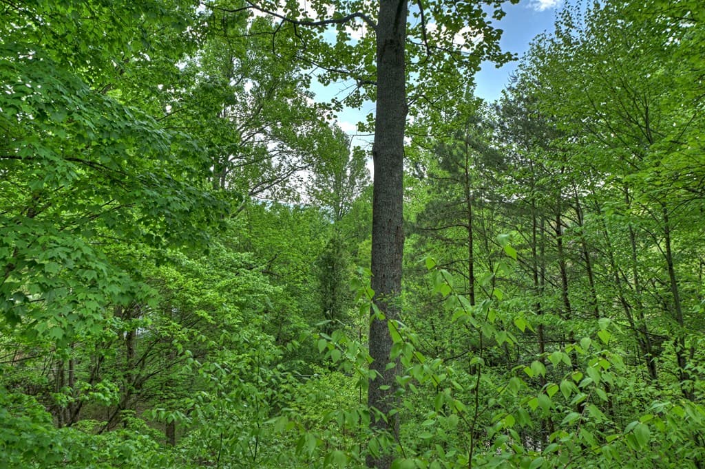 134 Mountain Hideaway Lane, Blue Ridge GA 30513 - Photo