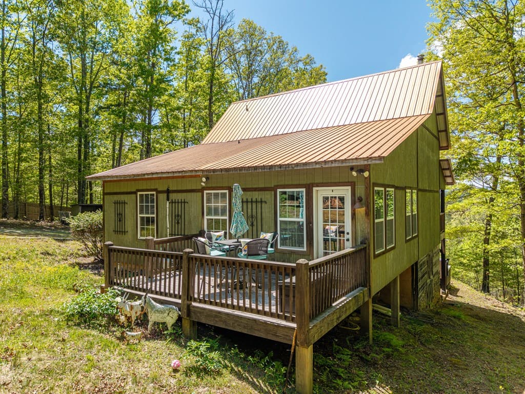 955 Mull Drive, Mineral Bluff GA 30559 - Photo