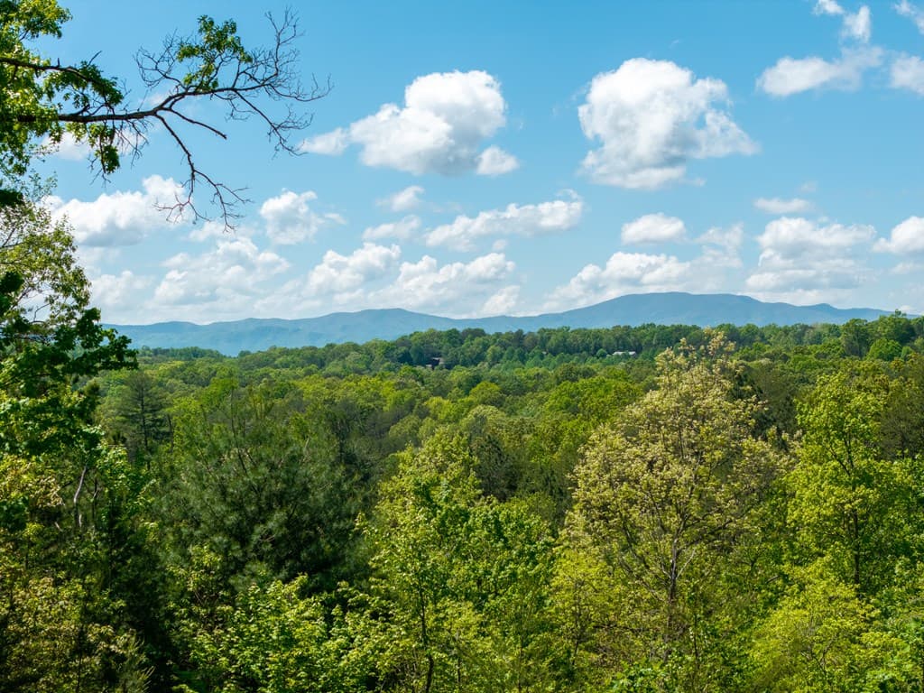 955 Mull Drive, Mineral Bluff GA 30559 - Photo
