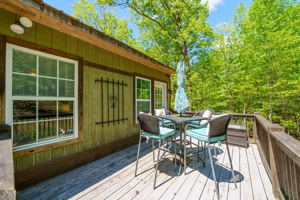 955 Mull Drive, Mineral Bluff GA 30559 - Photo