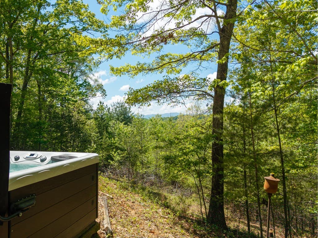 955 Mull Drive, Mineral Bluff GA 30559 - Photo