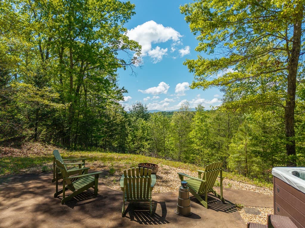 955 Mull Drive, Mineral Bluff GA 30559 - Photo