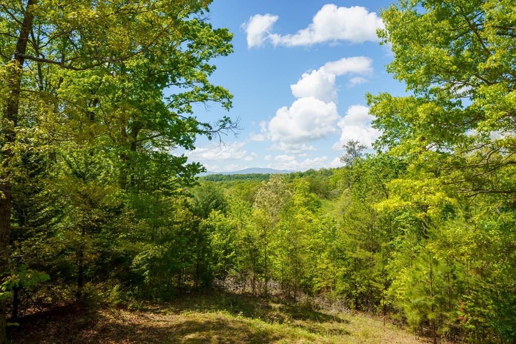 955 Mull Drive, Mineral Bluff GA 30559 - Photo