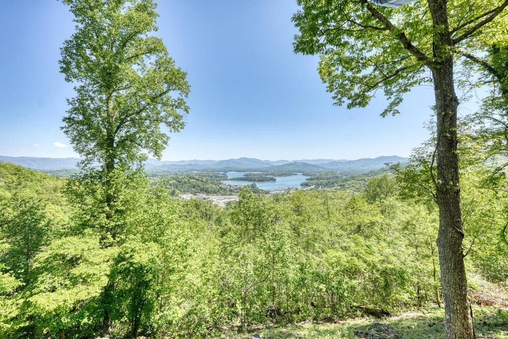 980 Mining Gap Trail, Young Harris GA 30582 - Photo