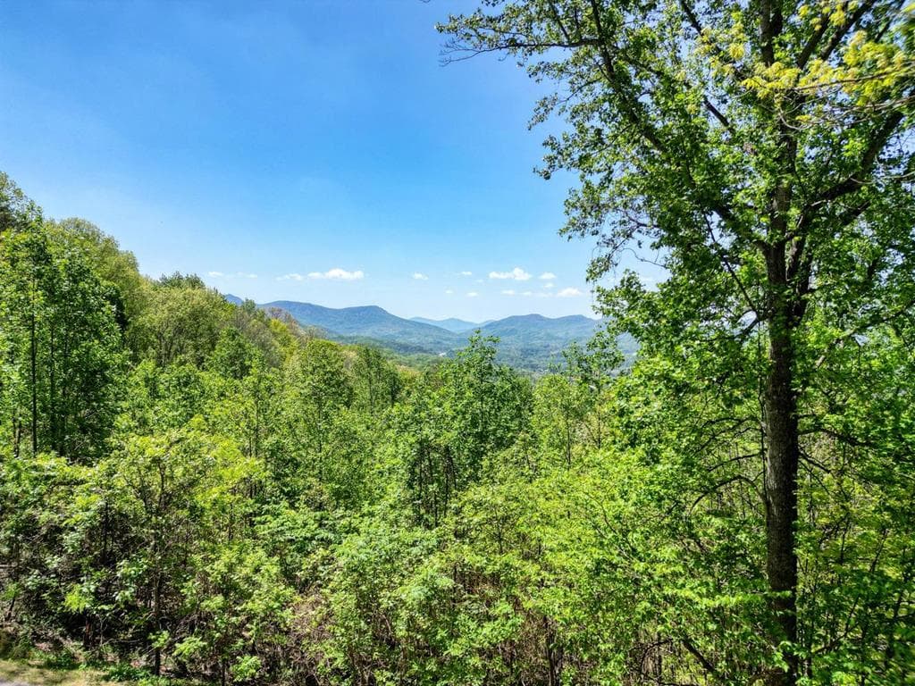 980 Mining Gap Trail, Young Harris GA 30582 - Photo
