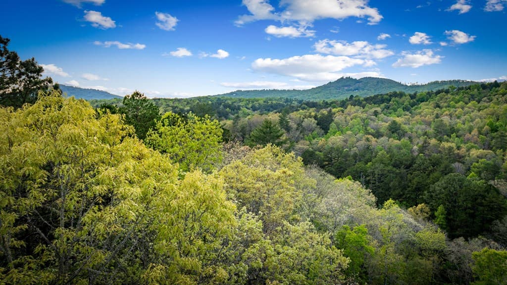 490 Walnut Hills Drive, Mineral Bluff GA 30559 - Photo