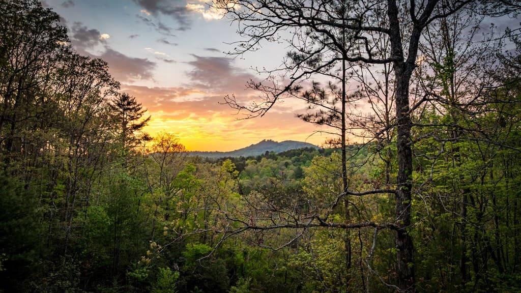 490 Walnut Hills Drive, Mineral Bluff GA 30559 - Photo