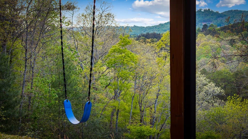 490 Walnut Hills Drive, Mineral Bluff GA 30559 - Photo