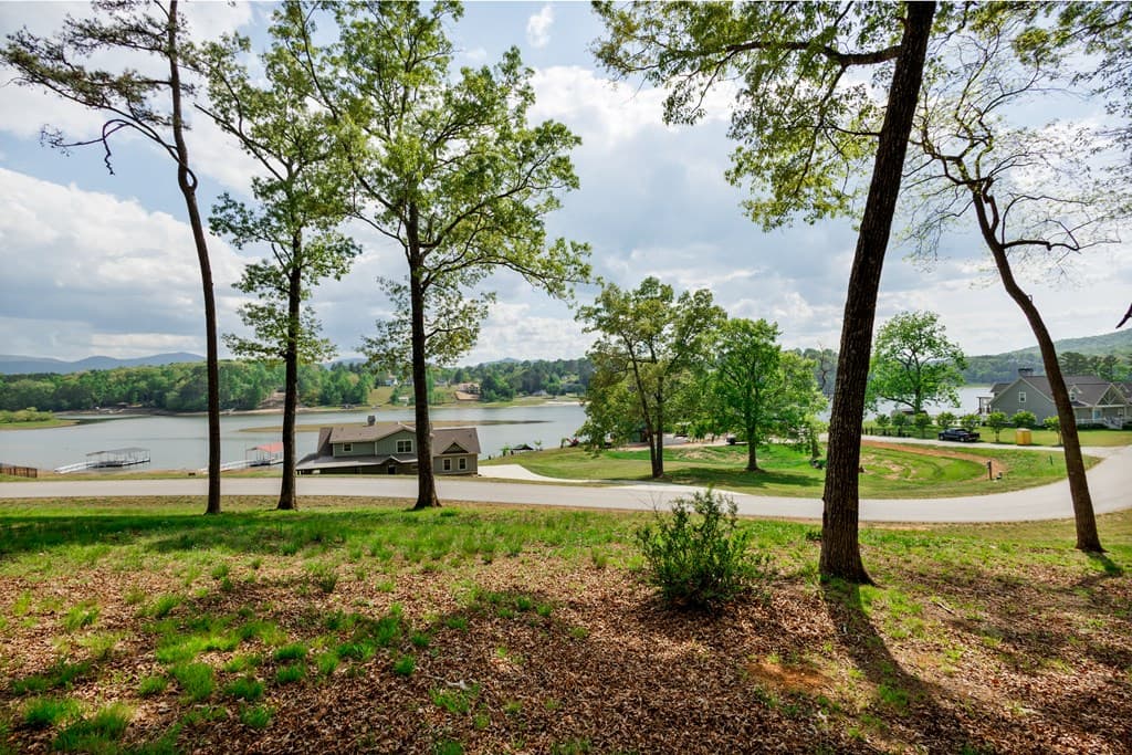 Lot 29 Open Water Lane, Blairsville GA 30512 - Photo