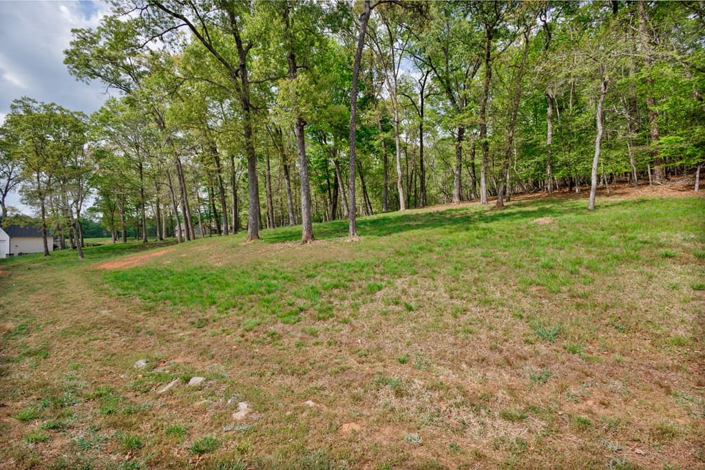 Lot 29 Open Water Lane, Blairsville GA 30512 - Photo