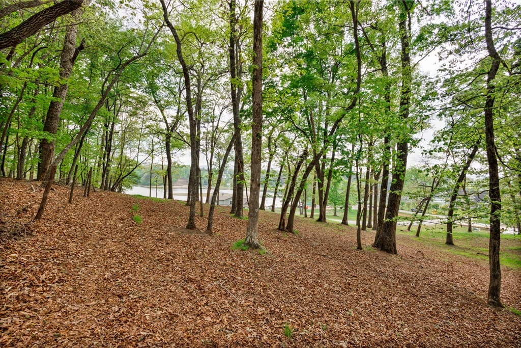 Lot 29 Open Water Lane, Blairsville GA 30512 - Photo