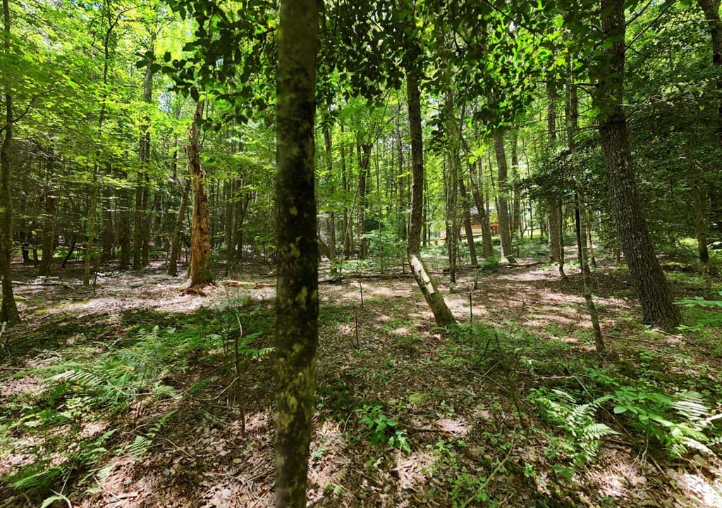 550 Watson Road, Epworth GA 30541 - Photo