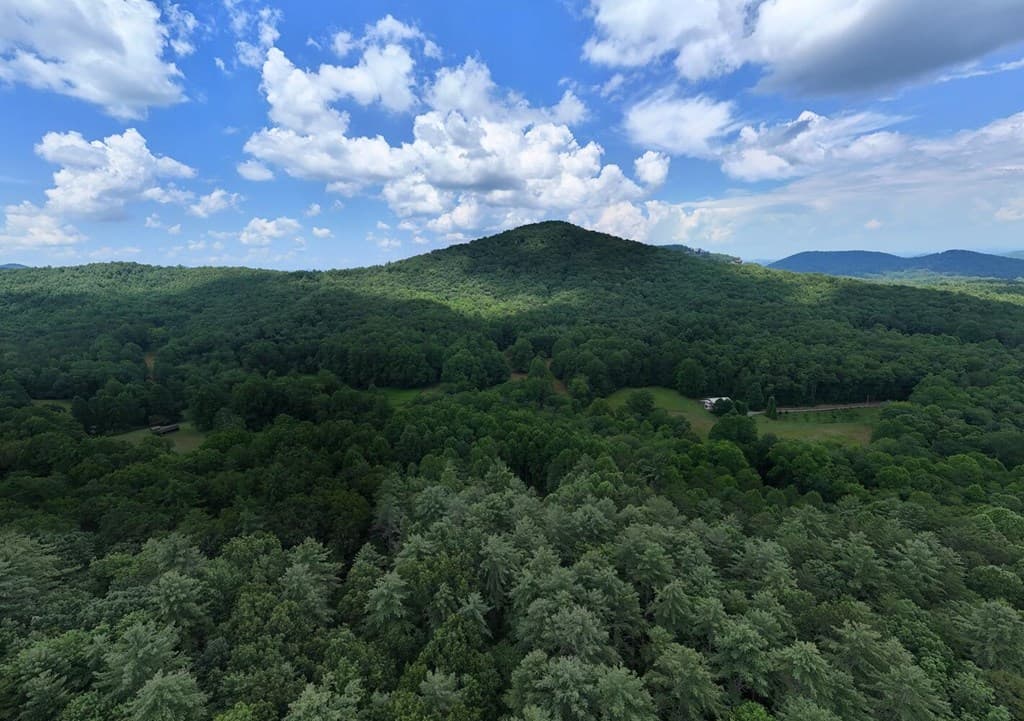 550 Watson Road, Epworth GA 30541 - Photo