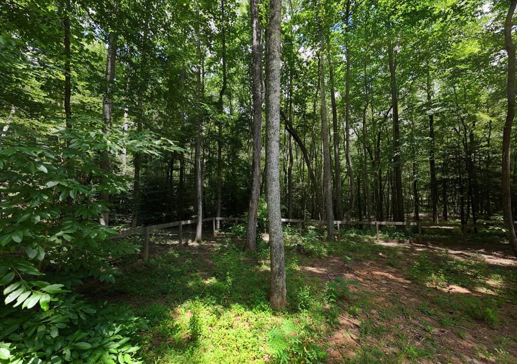 550 Watson Road, Epworth GA 30541 - Photo