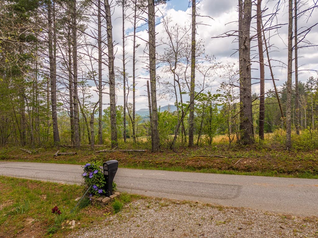128 Carroll Road, Blairsville GA 30512 - Photo