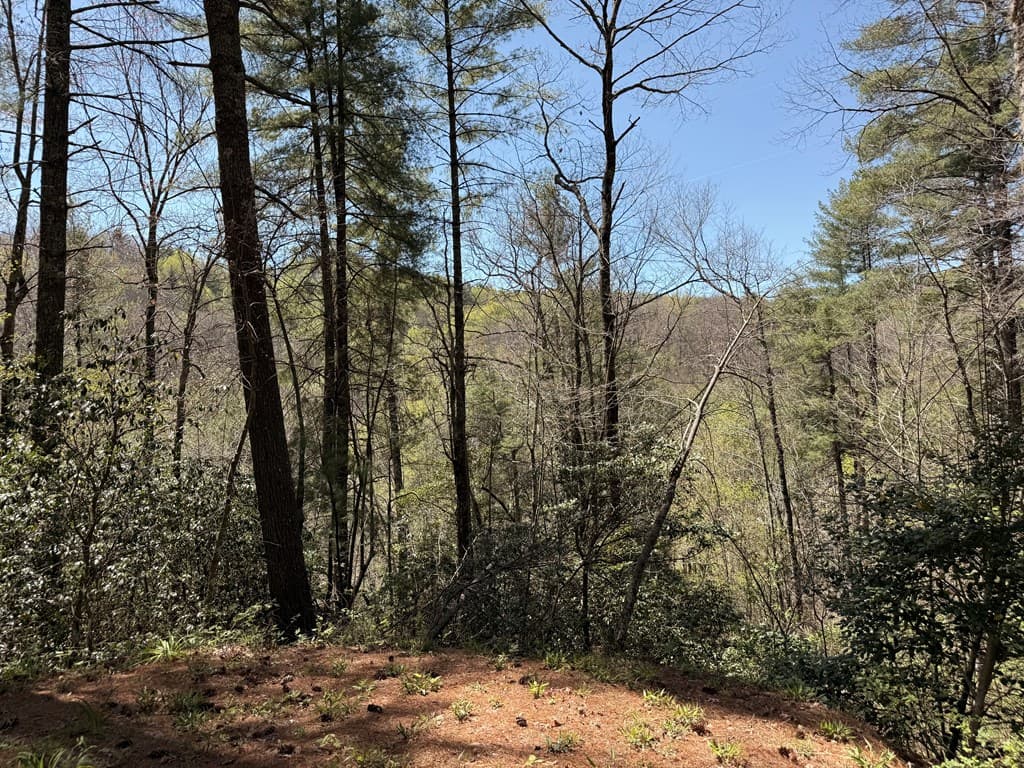 306 Jacks River Road, Blue Ridge GA 30513 - Photo