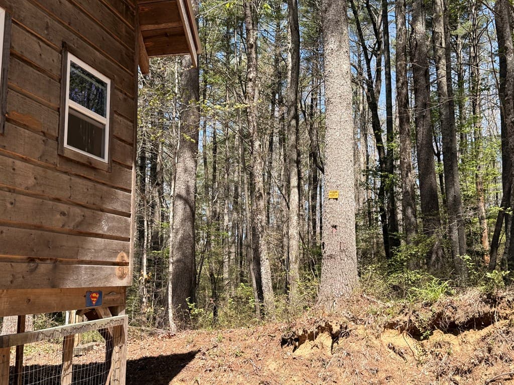306 Jacks River Road, Blue Ridge GA 30513 - Photo