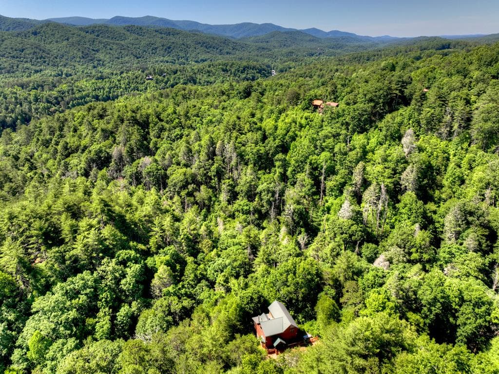 260 Down Under Road, Blue Ridge GA 30513 - Photo