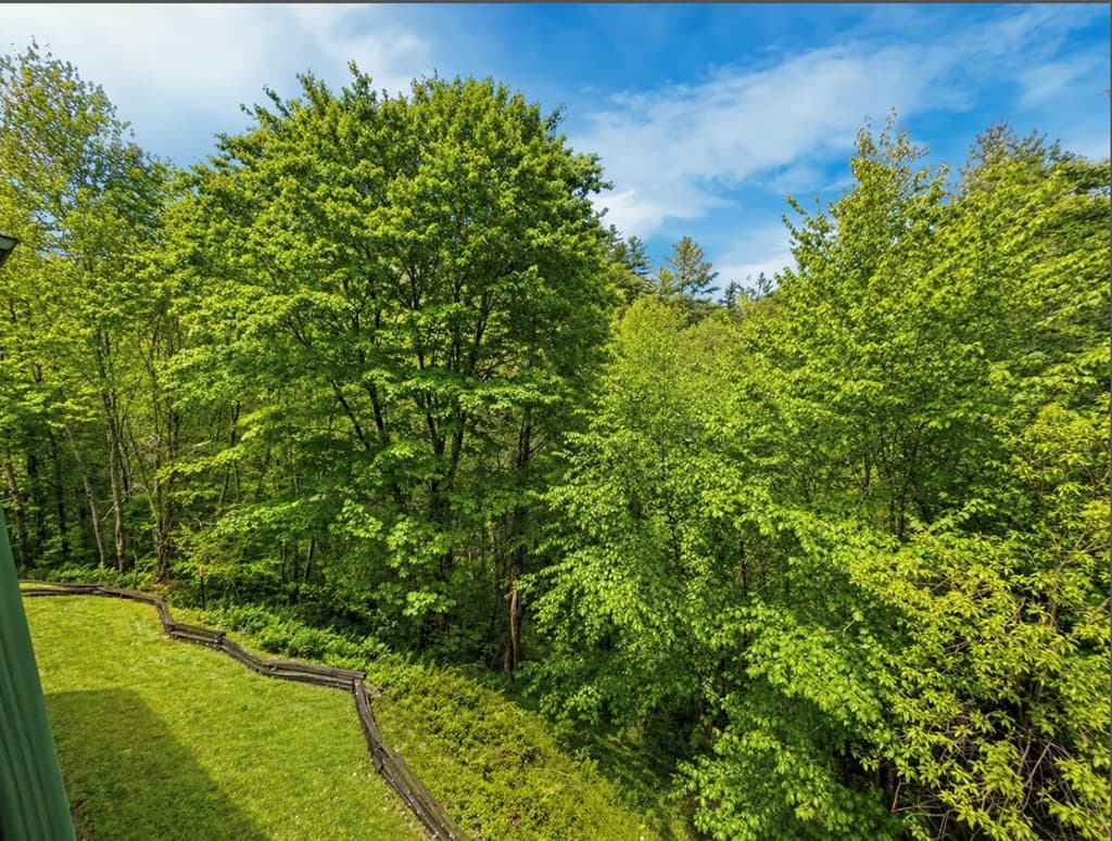 260 Down Under Road, Blue Ridge GA 30513 - Photo