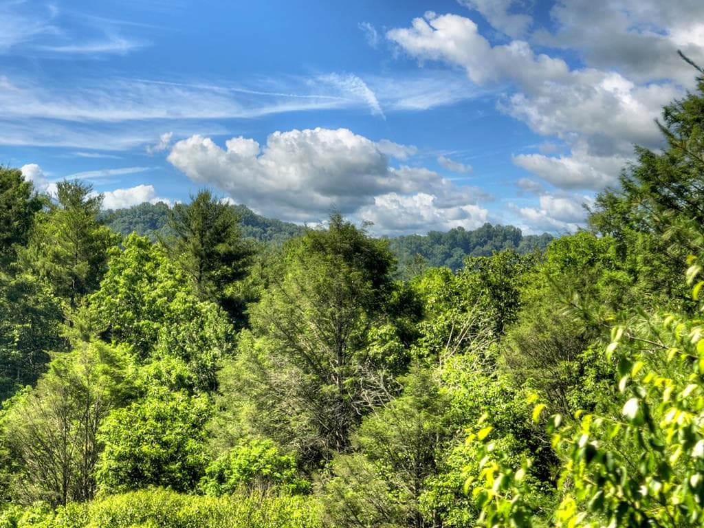 260 Down Under Road, Blue Ridge GA 30513 - Photo